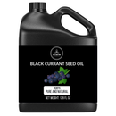 Black Currant Seed Oil 100% Pure & Natural by Naturevibe Botanicals | Cold Pressed | Light Weight Formula | Great