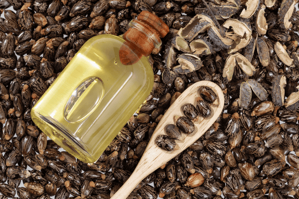 Argan Oil Shelf Life, Storage, and Quality Control Explained