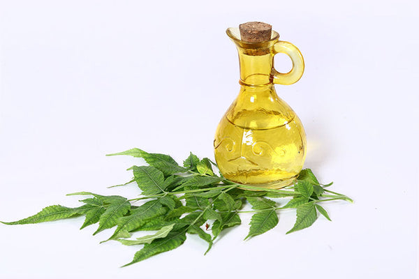 Cold Pressed vs Regular Neem Oil Which One Is Better?