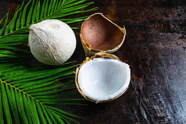 Fractionated Coconut Oil vs. Regular Coconut Oil: Key Differences