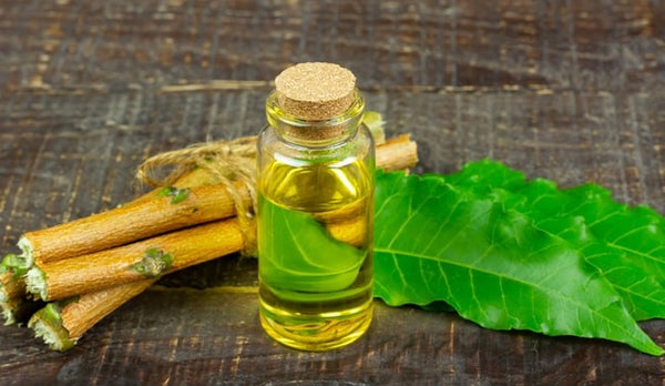How to Make Neem Oil Hair Masks for Hair Fall and Scalp Health