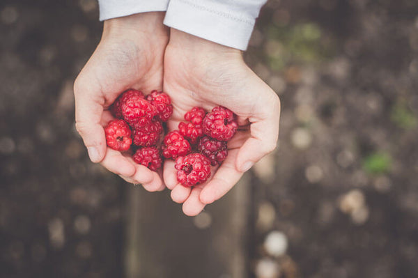 What Is Red Raspberry Seed Oil? An Overview of Its Origin and Uses