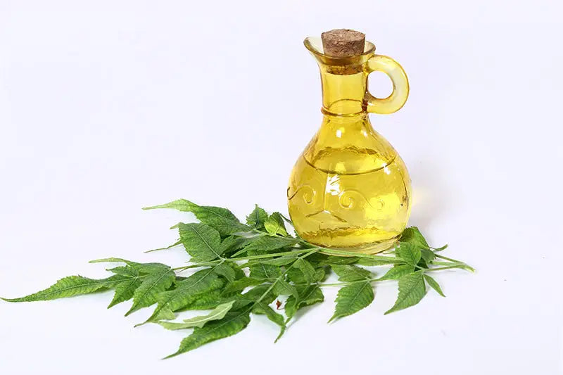 Cold Pressed vs Regular Neem Oil Which One Is Better?