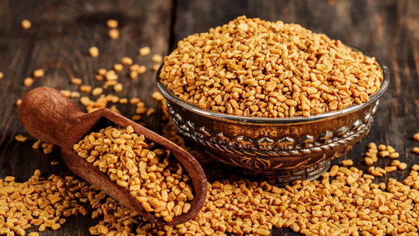 Exploring Fenugreek Powder From Ancient Spice to Modern Pantry Staple