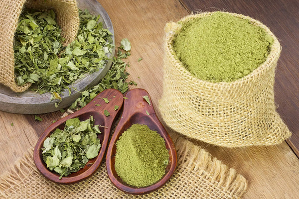 Green Powders in Focus Why Moringa Stands Out