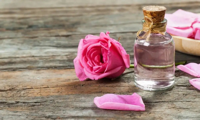History of Rose Water From Ancient Persia to Modern Homes