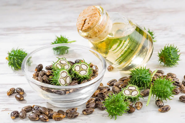 How Castor Oil is Made Cold-Pressed vs Refined