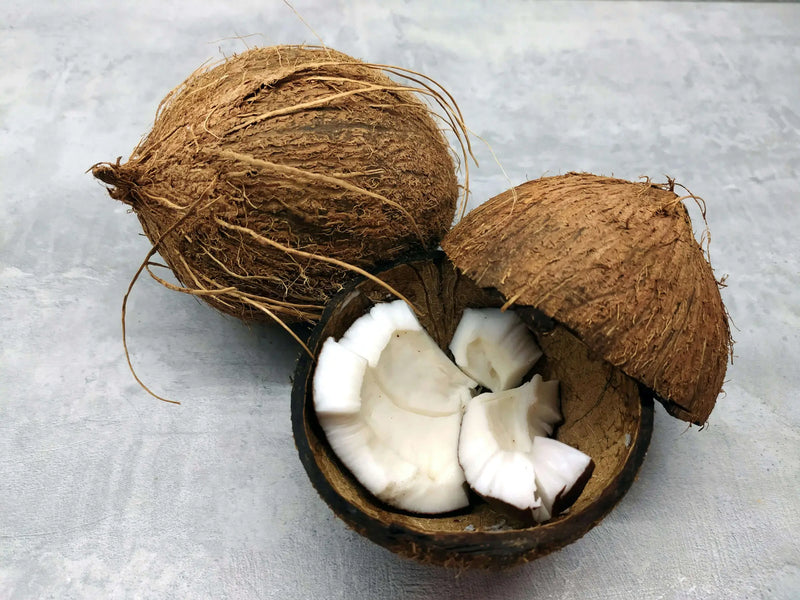 How Fractionated Coconut Oil Is Made Process and Production Explained