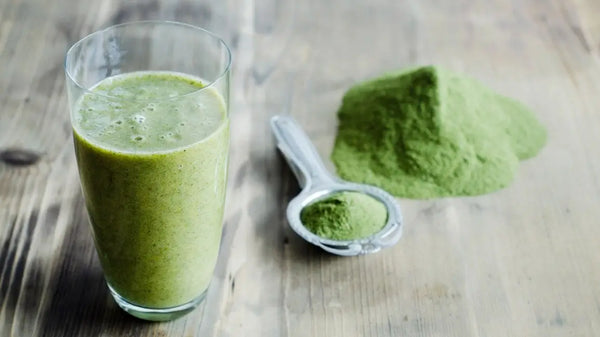 Moringa Powder in the Kitchen Unique Ways to Cook With This Green Powder