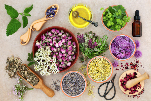 Naturevibe Herbs and Essential Oils