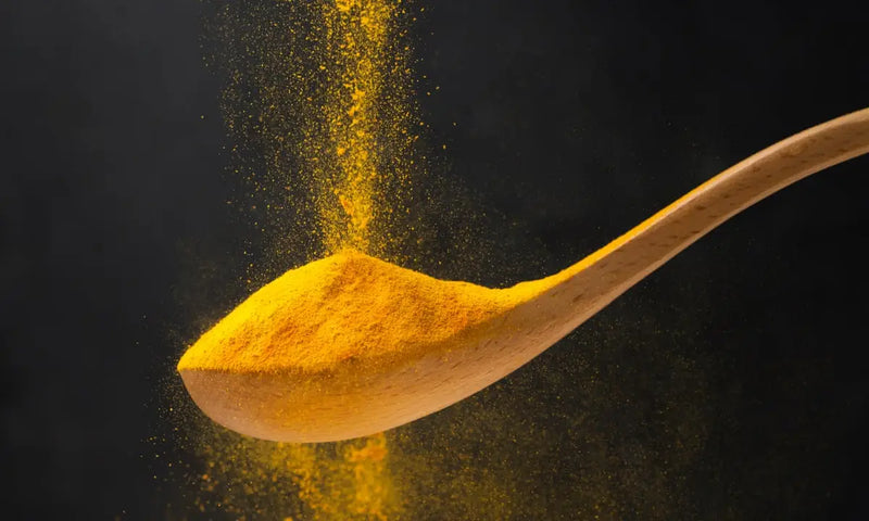 Top 10 Ways to Use Turmeric Powder in Cooking and Daily Wellness