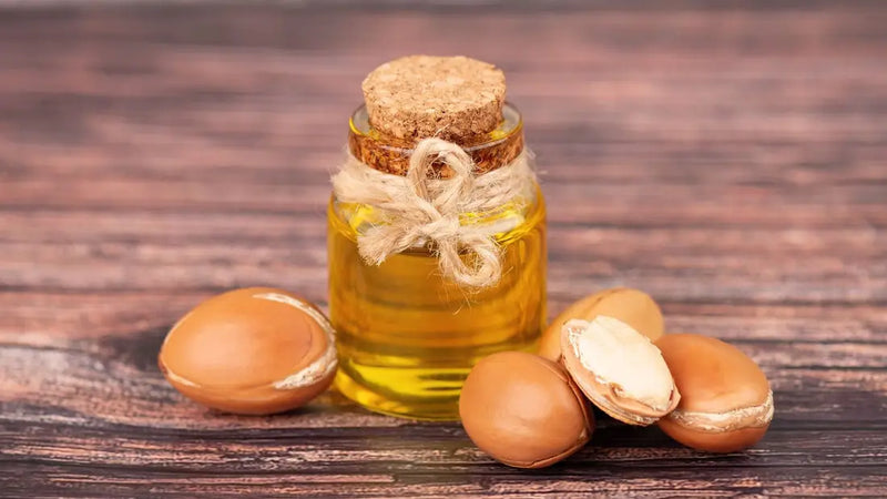 Traditional Extraction of Argan Oil vs. Modern Production Methods