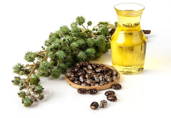 What is Castor Oil A Beginner’s Guide
