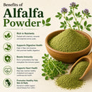 Alfalfa Powder 10LB – Natural Herbal Powder for Culinary and Personal Care Use | Fresh, Fine-Textured, and Versatile