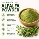 Alfalfa Powder 10LB – Natural Herbal Powder for Culinary and Personal Care Use | Fresh, Fine-Textured, and Versatile