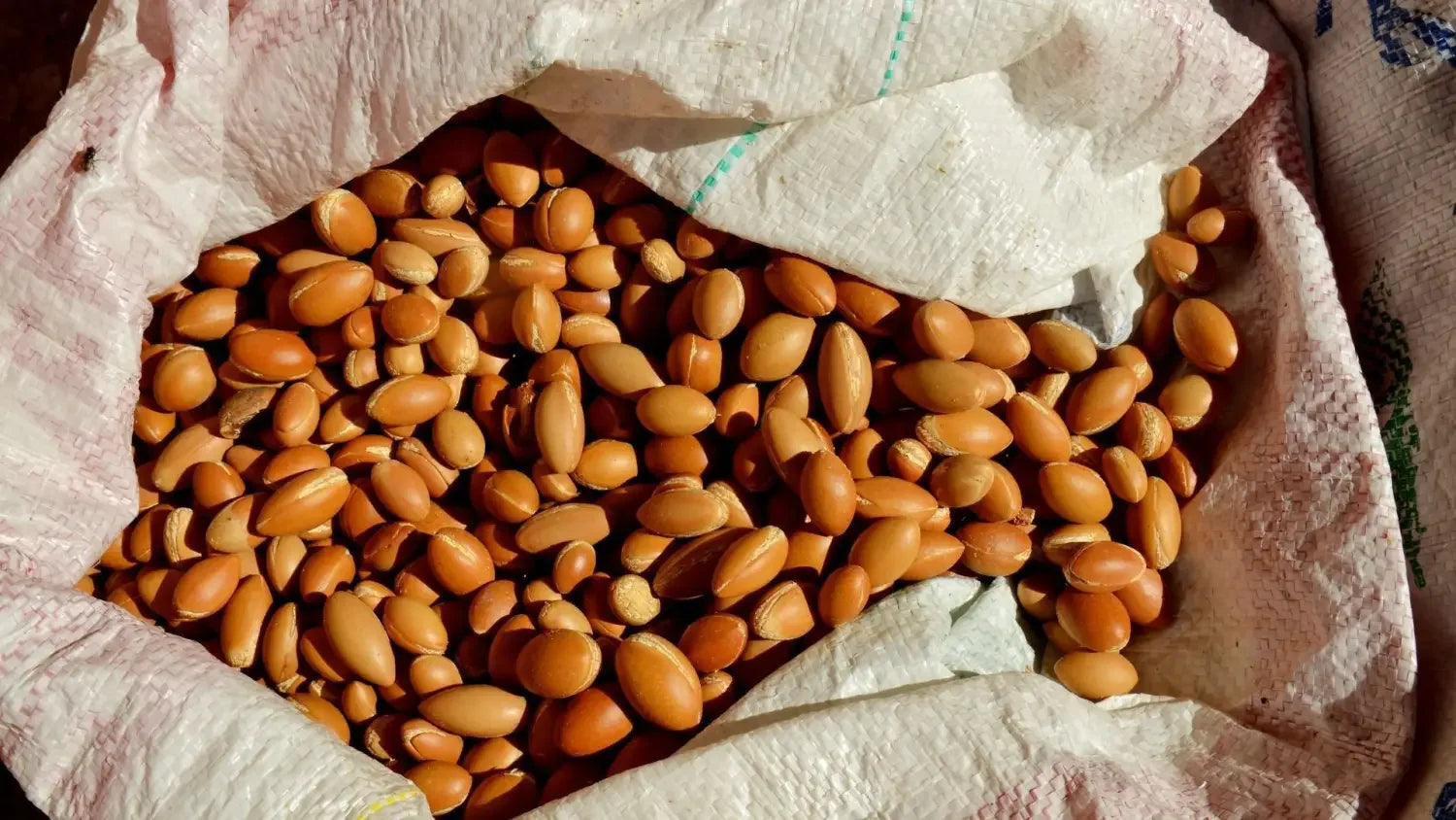 Argan Oil Shelf Life, Storage, and Quality Control Explained