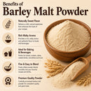 Naturevibe Botanicals Barley Malt Powder 25kg (55lb) Bulk Pack Premium | Perfect for Baking, Brewing & Sweetening