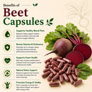 Puranicals Premium Beet 960 Capsules – Powerful Nitric Oxide Booster for Enhanced Energy & Heart Health | Herbal Superfood Supplement | 900 mg Pure Beetroot Powder (Beta Vulgaris) per Serving