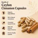 Puranicals Ceylon Cinnamon Premium 960 Capsules Non GMO and Gluten Free | Herbal Supplement | 700 mg Per Serving | Made with 100% Pure Ceylon Cinnamon Powder