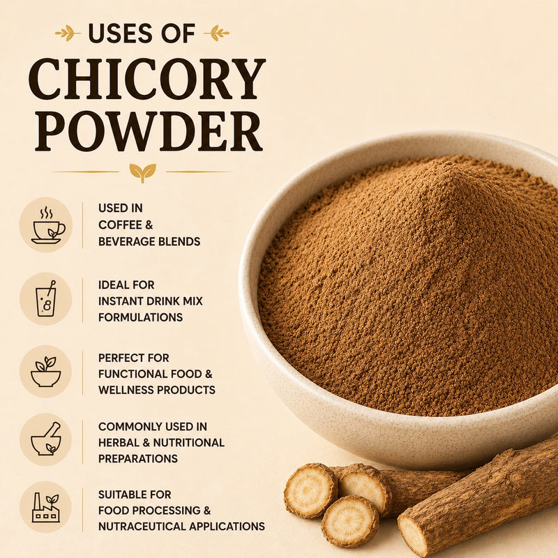Chicory Powder 25kg Bulk Bag | Naturevibe Botanicals