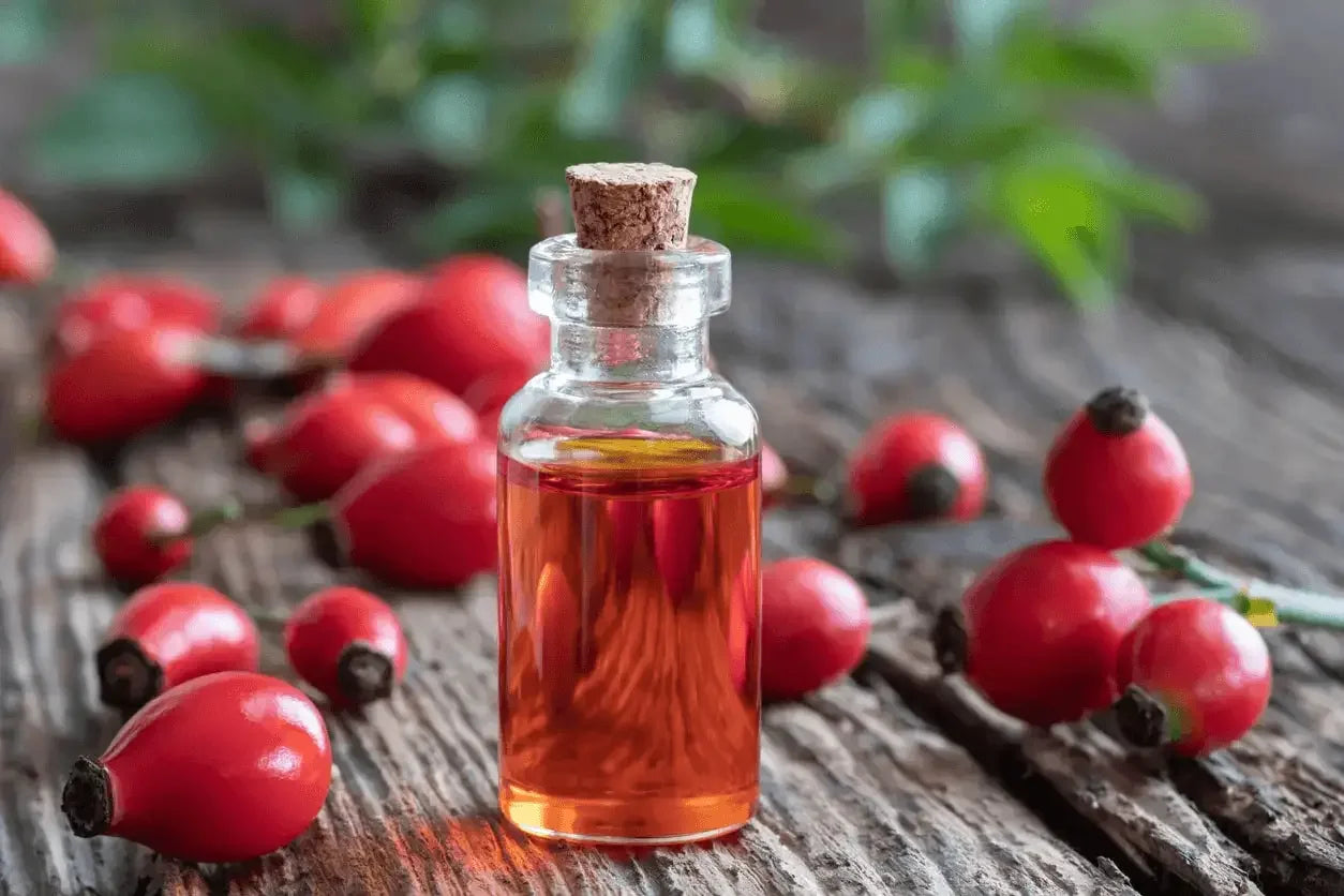 Cold-Pressed Rosehip Oil Explained What It Means and Why It Matters