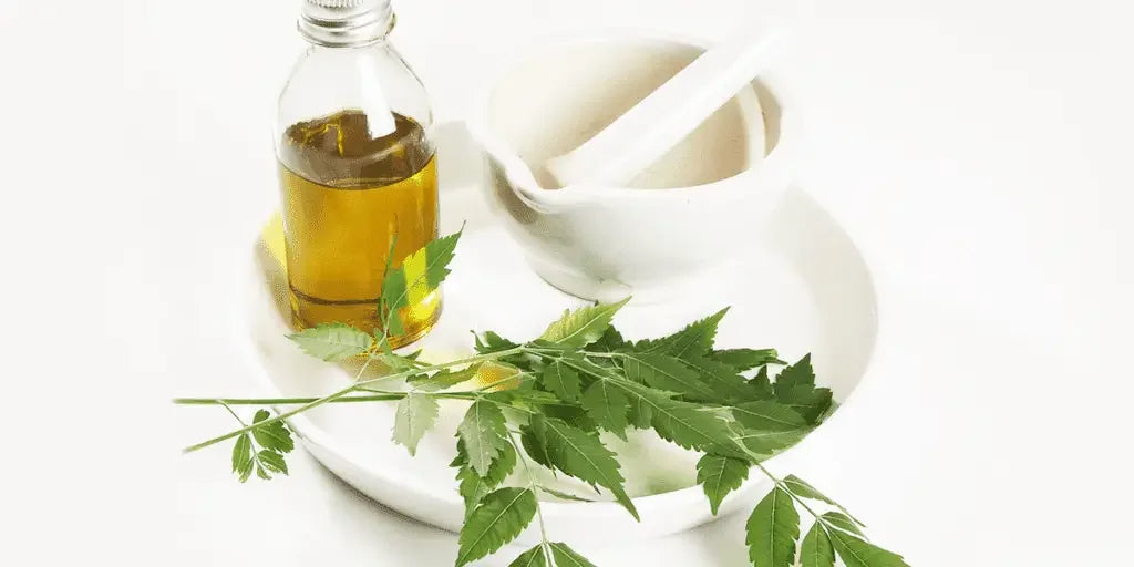 Cold Pressed Neem Oil for Acne How It Works and How to Use It