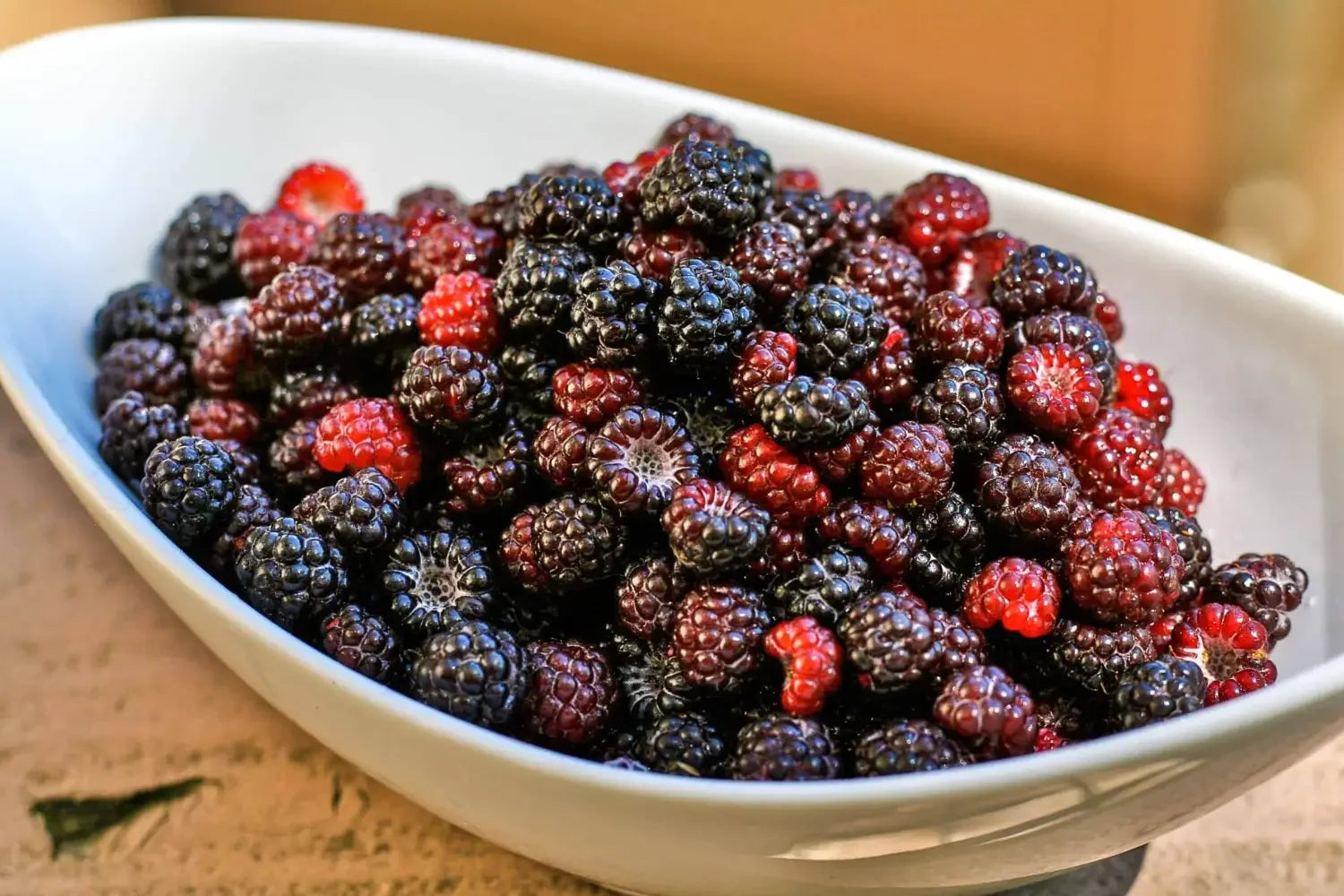 Comparing Black Raspberry Oil to Other Berry Seed Oils