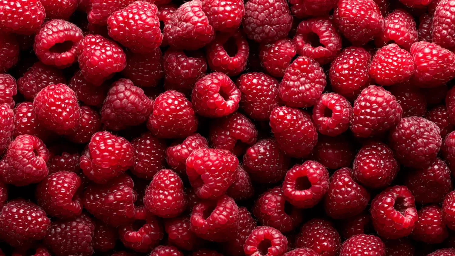 Exploring Red Raspberry Seed Oil  Composition & Characteristics