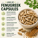 Puranicals Premium Fenugreek 960 Capsules – Natural Support | Herbal Supplement | 800mg Pure Fenugreek Seed powder per Serving