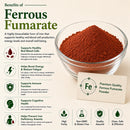 Ferrous Fumarate (25Kg Bag)