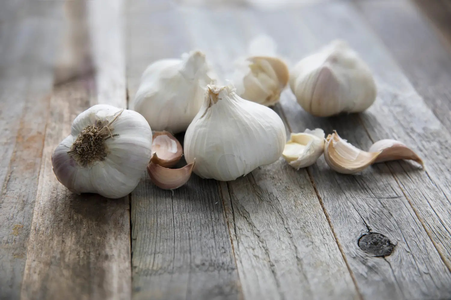 Garlic Powder vs. Fresh Garlic: Nutrition, Flavor & Cooking Guide