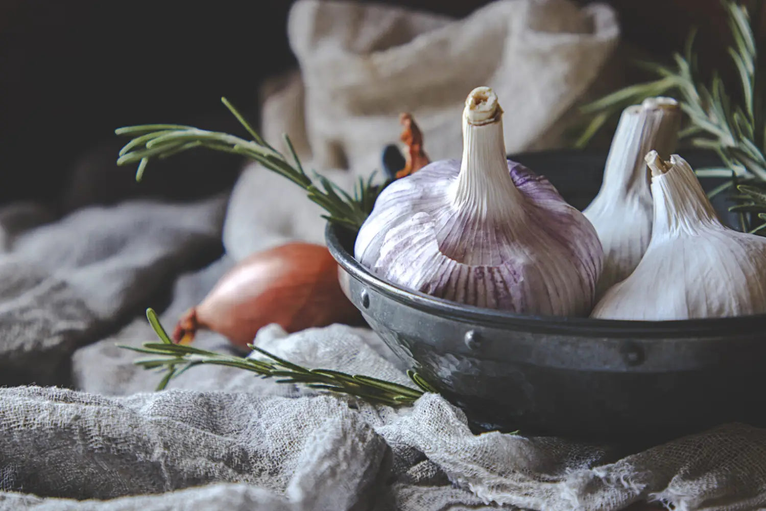Garlic Powder vs. Fresh Garlic: Nutrition, Flavor & Cooking Guide