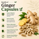 Puranicals Premium Ginger 960 Capsules | Herbal Supplement | 700 mg Pure Ginger Root powder per Serving