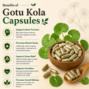 Puranicals Premium Gotu Kola 960 Capsules – Enhance Body Function & Supports Health | | 600 mg Pure Gotu Kola (Centella Asiatica) per Serving | Promotes Healthy Skin and Overall health.