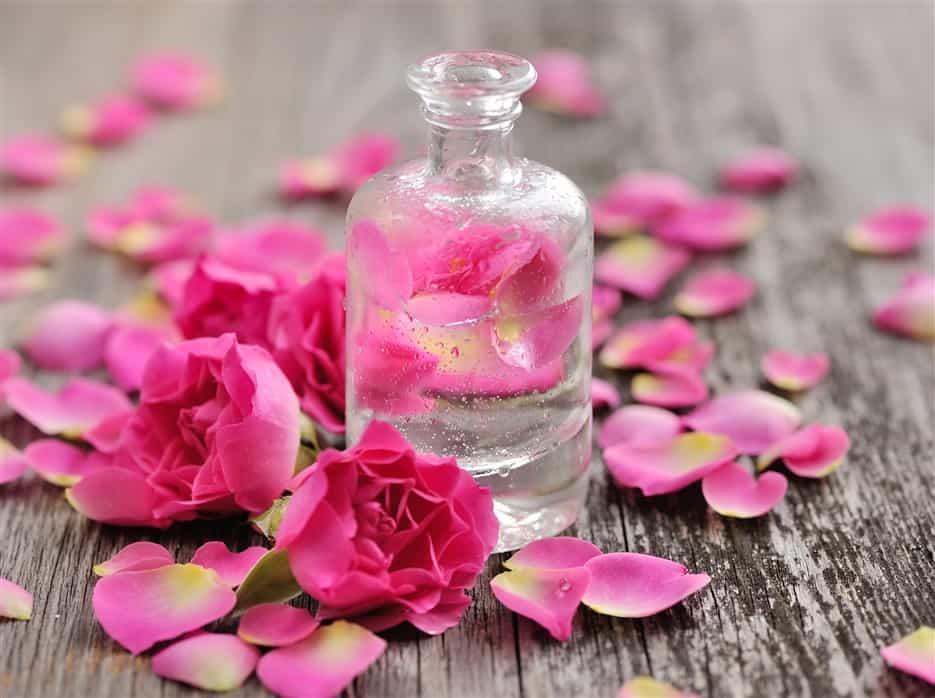 History of Rose Water From Ancient Persia to Modern Homes