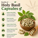 Puranicals Premium Holy Basil 960 Capsules – Natural | Herbal Adaptogen Supplement | 600 mg Pure Holy Basil (Tulsi) per Serving | Promotes Overall Well-being