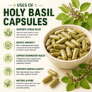 Puranicals Premium Holy Basil 960 Capsules – Natural | Herbal Adaptogen Supplement | 600 mg Pure Holy Basil (Tulsi) per Serving | Promotes Overall Well-being
