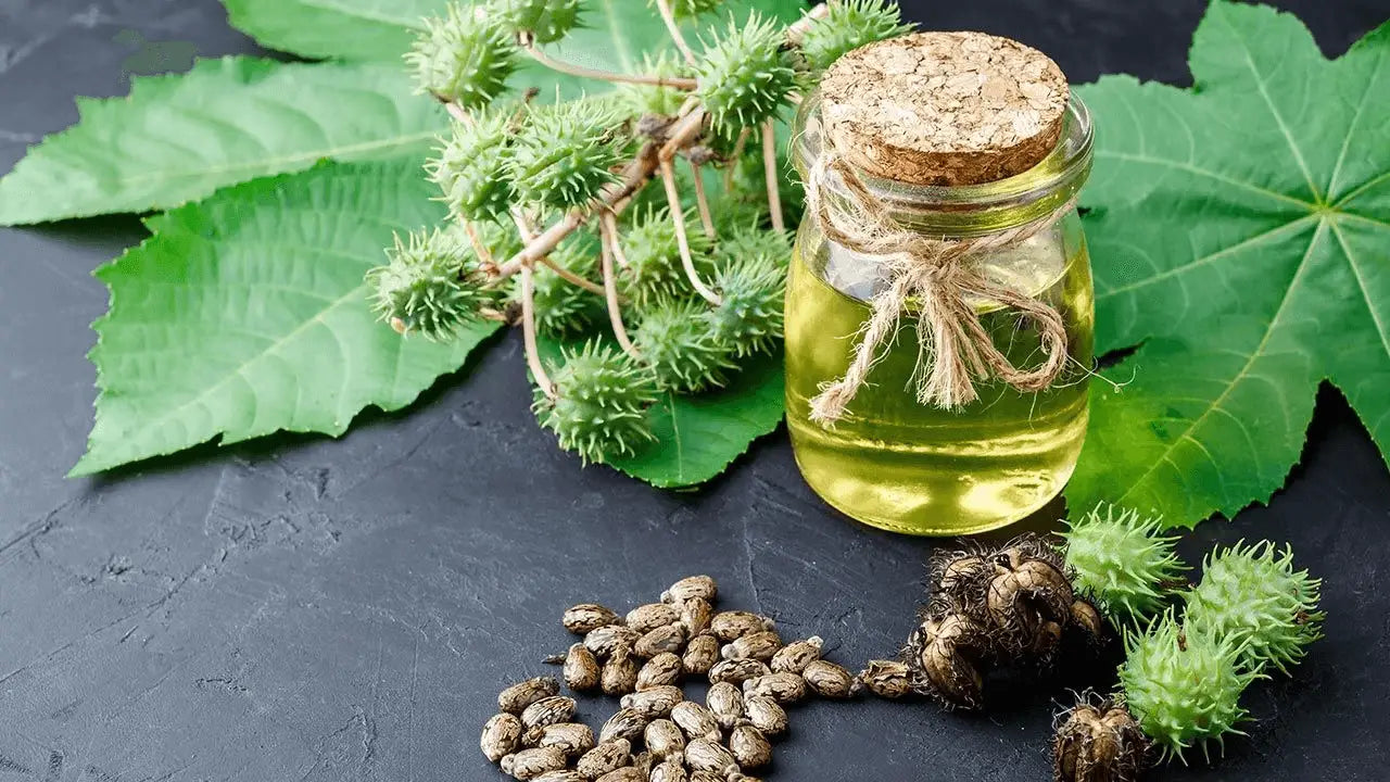 How Castor Oil is Made Cold-Pressed vs Refined