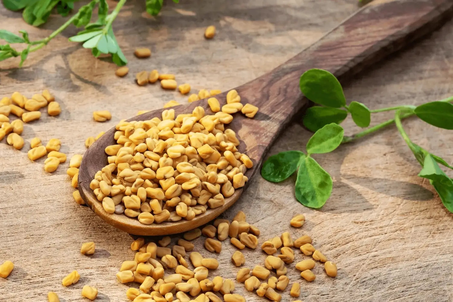 How Fenugreek Powder Is Made From Seed to Powder
