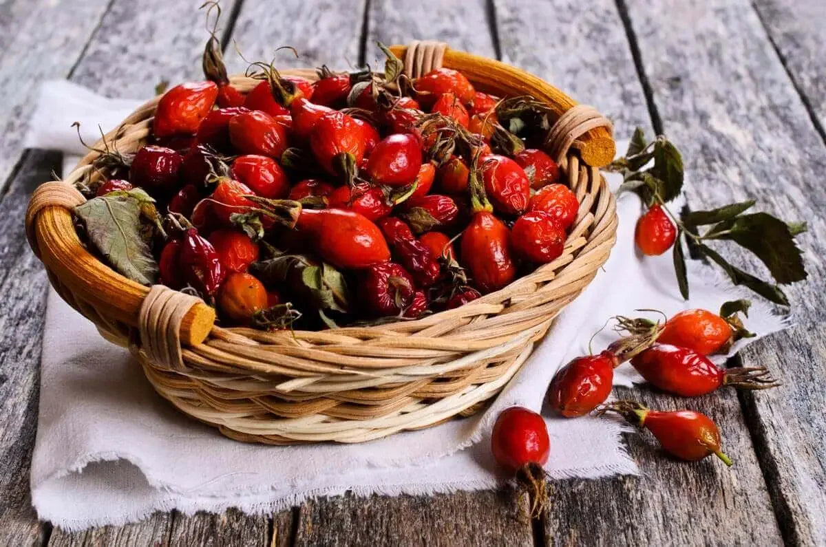 How Rosehip Oil Is Extracted From Seed to Bottle