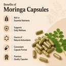Puranicals Moringa Premium 960 Capsules Non GMO and Gluten Free | Herbal Supplement | 600 mg Per Serving | Made with Herb Moringa Leaf Powder