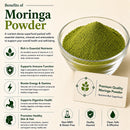 Bulk Moringa Powder – 20LB | Wholesale Superfood for Supplements, Tea & Cosmetics | Premium Green Leaf