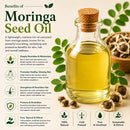 Moringa Seed Oil | 100% Pure and Natural | Cold Pressed and Unrefined | Hair Conditioning and Body Massage Oil