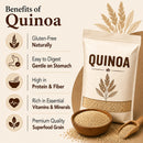 Quinoa Seeds 44lb | Food Grade Quinoa | Ideal for Cooking, Baking & Food Manufacturing