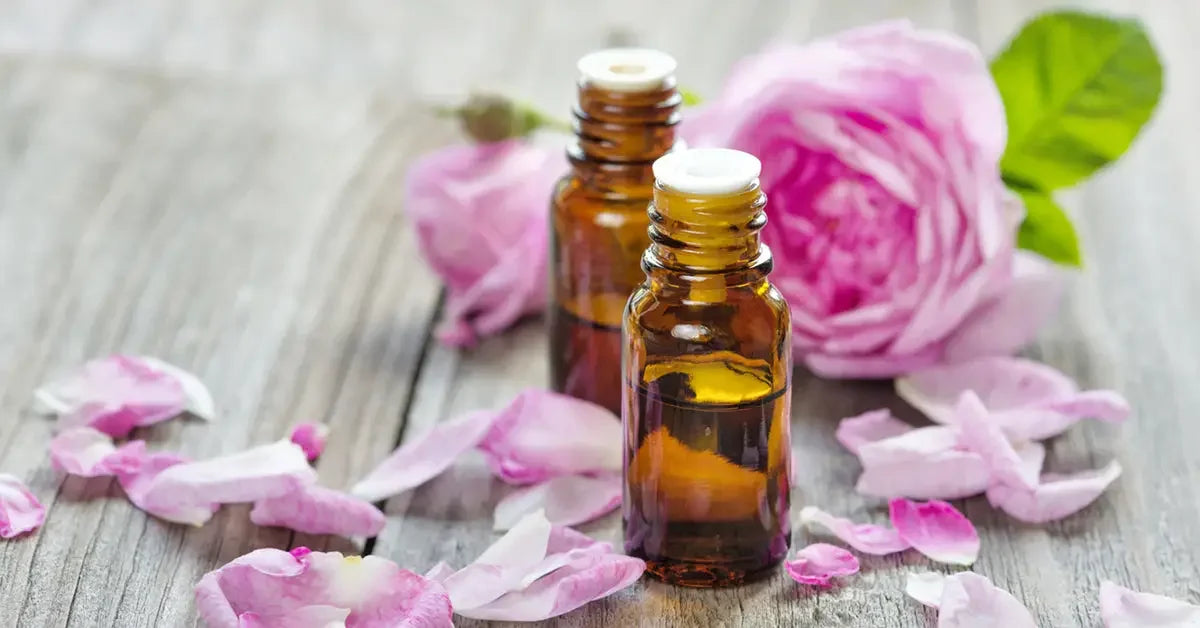 Rose Water vs. Rose Oil What’s the Difference