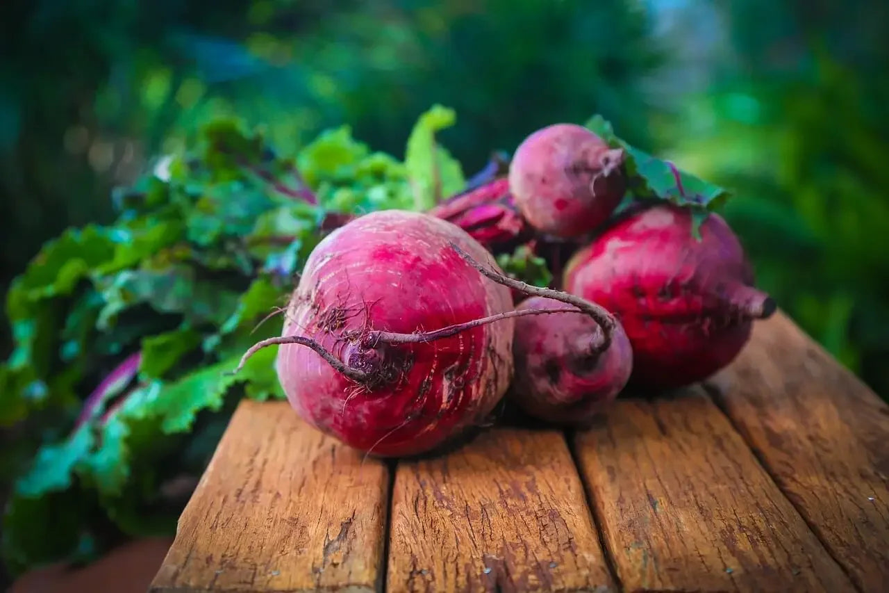 Storing Beetroot Powder Best Practices to Maintain Color and Flavor
