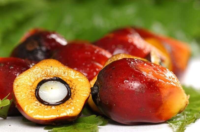 The Cultural History and Traditional Uses of Batana Oil