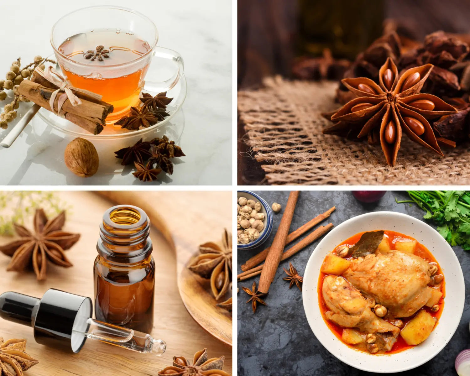Organic Star Anise Whole