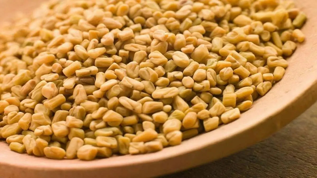 What Does Fenugreek Powder Taste Like Flavor Profile and Pairings