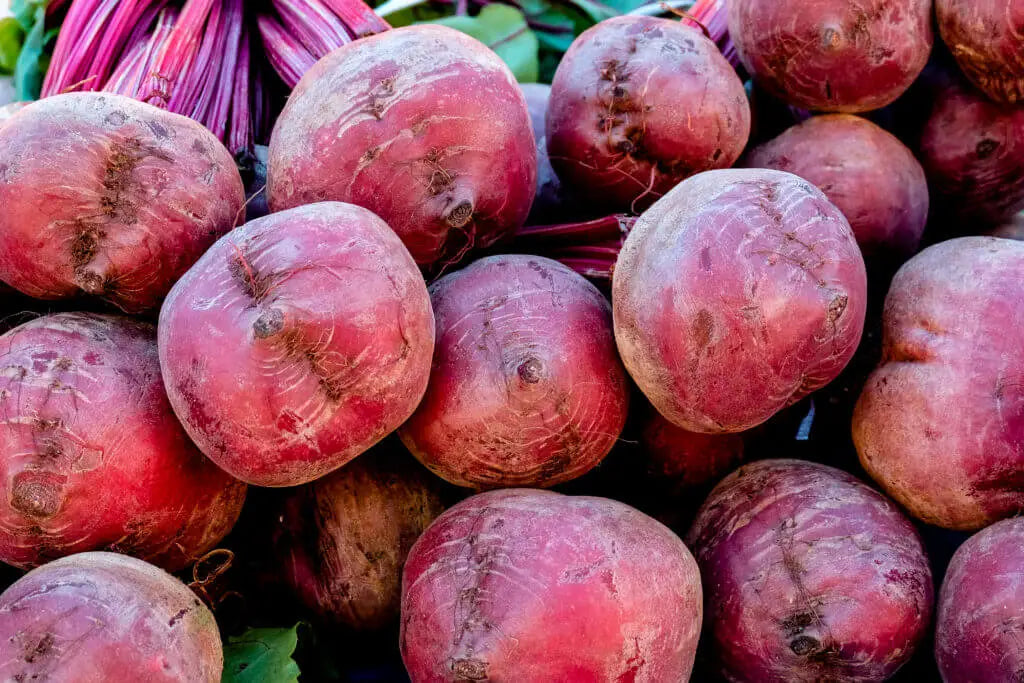 What Is Beetroot Powder A Deep Dive into Its Origin and Uses